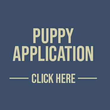 application